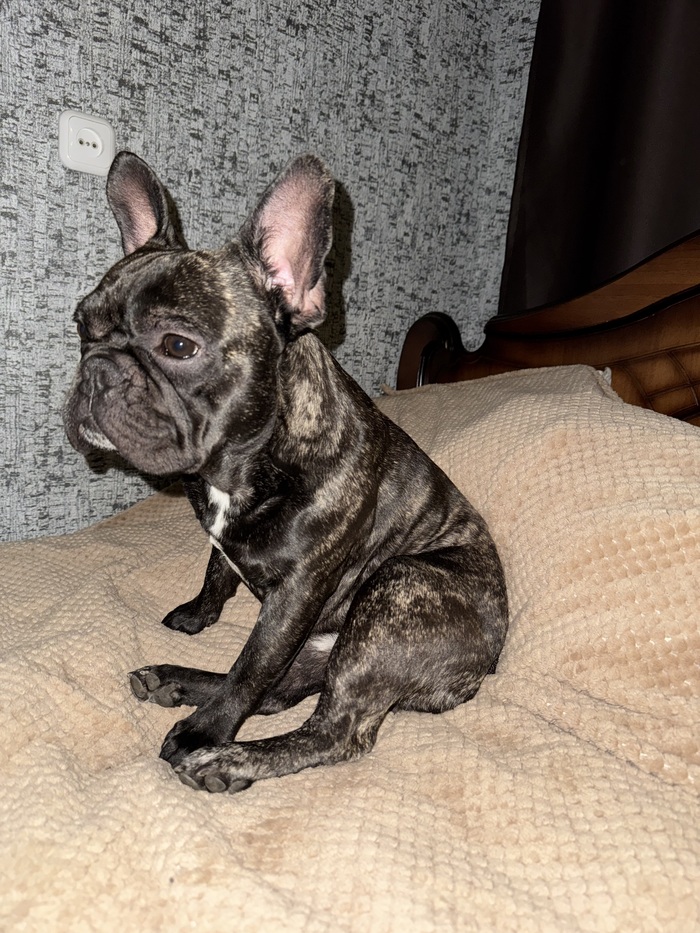 Думает , пора ли спать ложиться