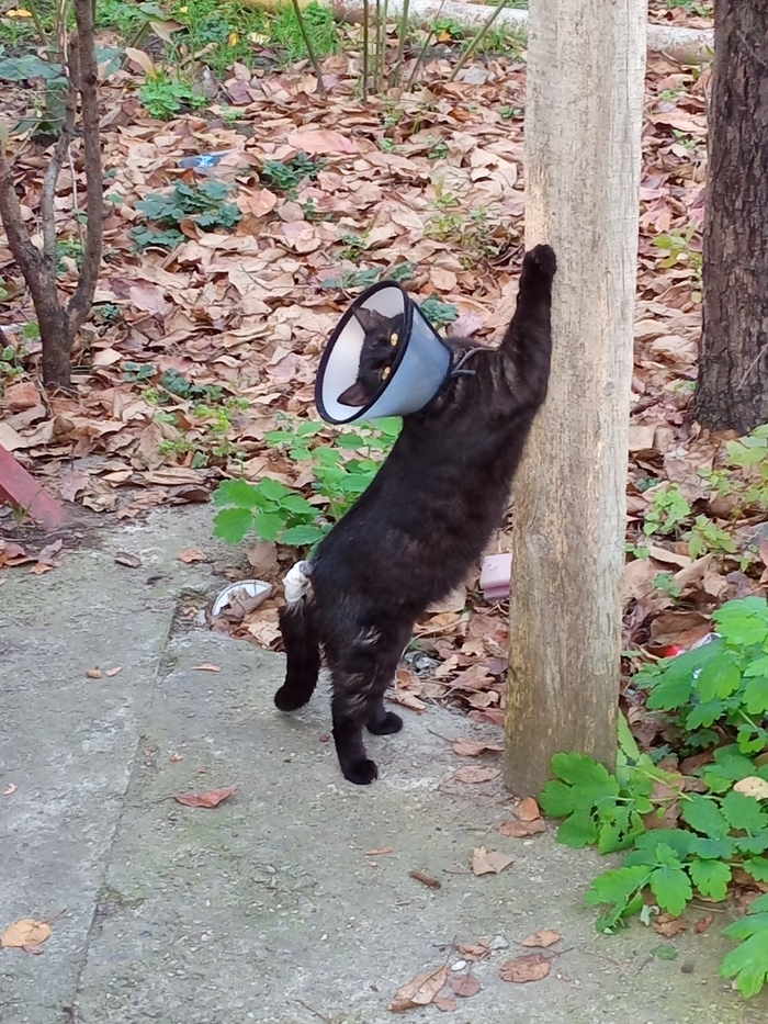 Фотогеничный в любой ситуации!