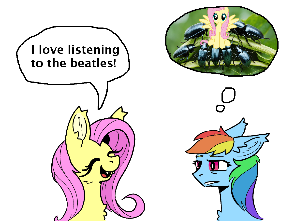 Люблю слушать жуков! - My Little Pony, Fluttershy, Rainbow Dash, The Beatles