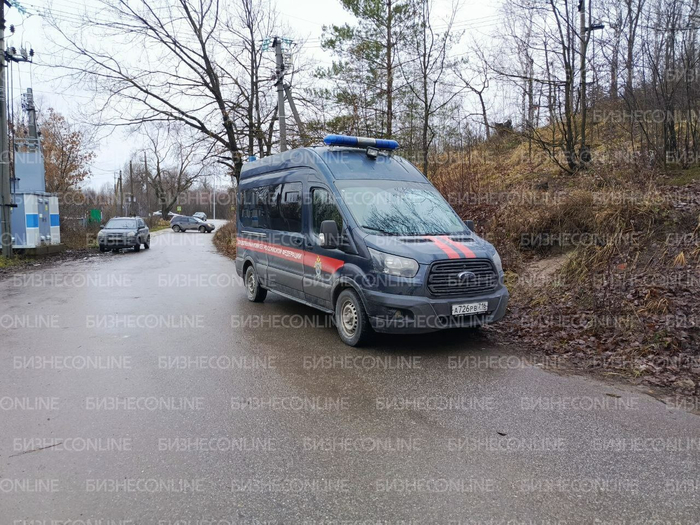 Место нападения собак