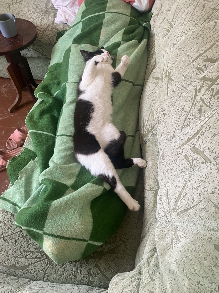 Зачилился малый:))