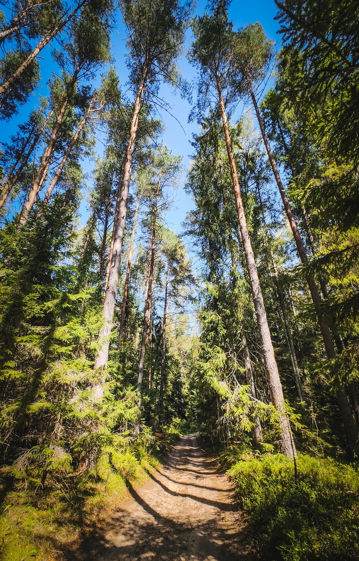   .           22.  2.     !