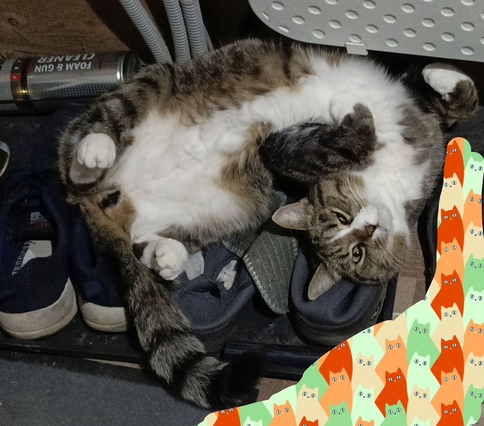 Упражнения для профилактики остеохондроза