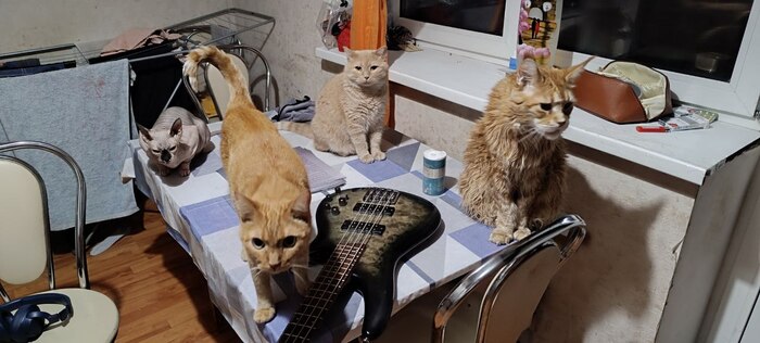       &quot;&quot;,   ,   &quot;&quot; 