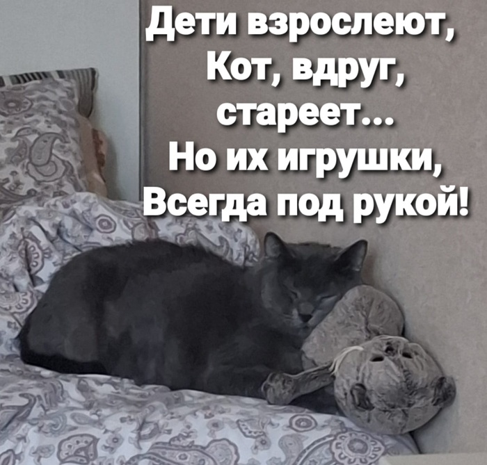    &quot;,   ,   &quot;