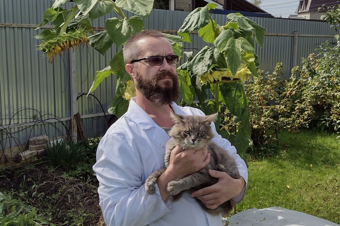    &quot;,   ,   &quot;