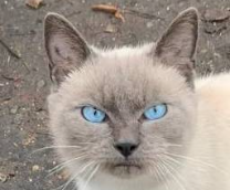 �������. ����� �����