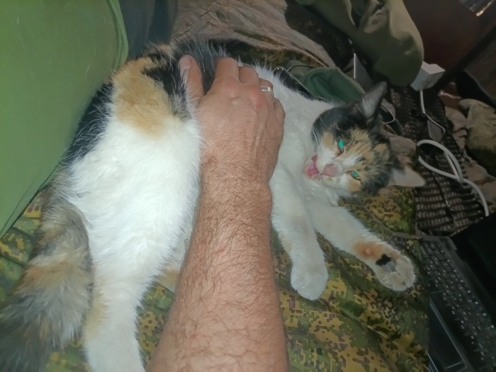  hatesweetdreams  &quot;,   ,   &quot;