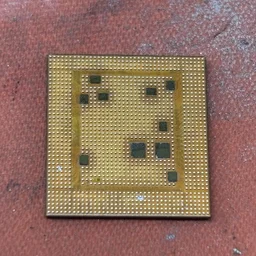 RoNoS1337