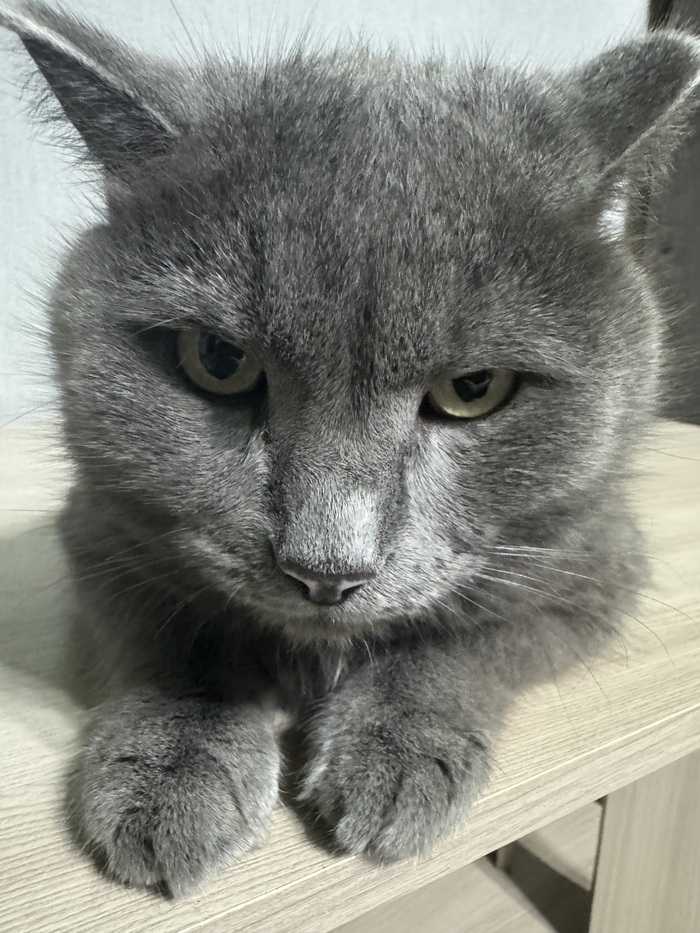 Томас, 9 годиков🙂