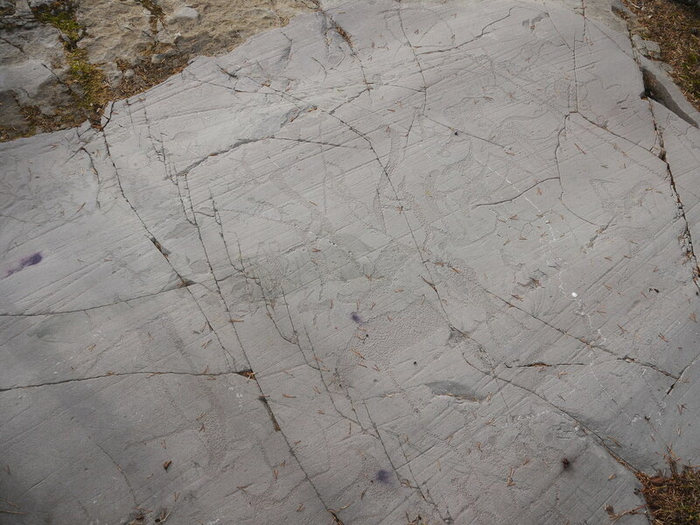 Петроглифы Альты (Норвегия).