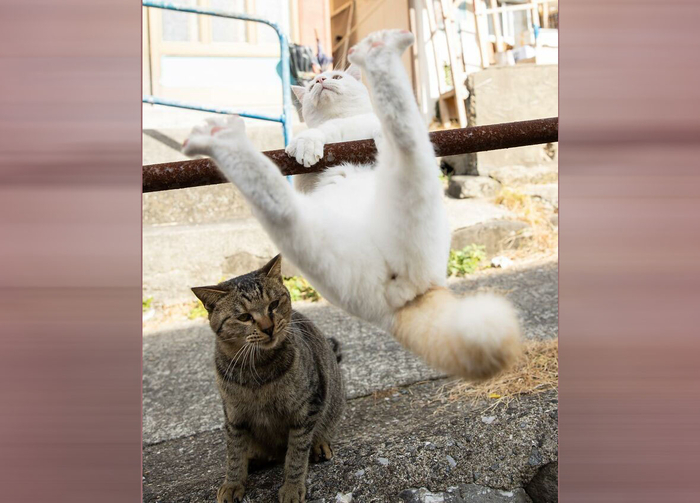 С батей на турниках.