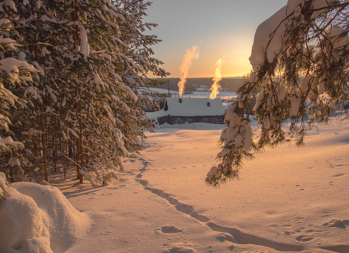 Теплый зимний вечер в селе Всехсвятское