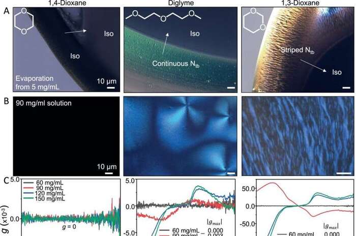Пути сборки PE2-biOE2OE3 в растворе в 1,4-диоксане, диглиме и 1,3-диоксане.