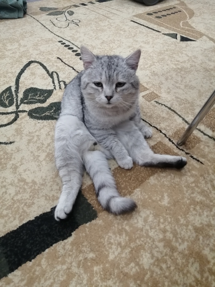    &quot;,   ,   &quot;