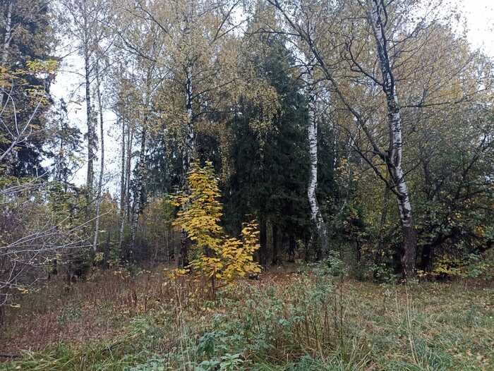 , ,   :   0303   ( )