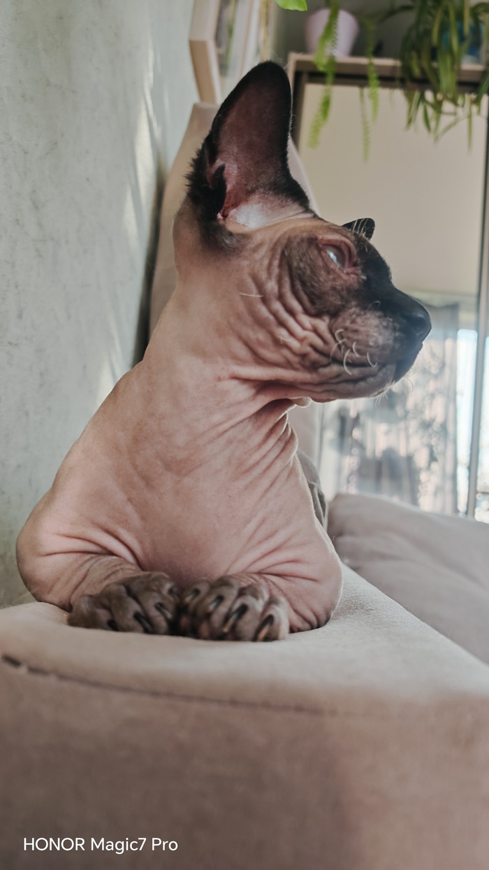    &quot;,   ,   &quot;