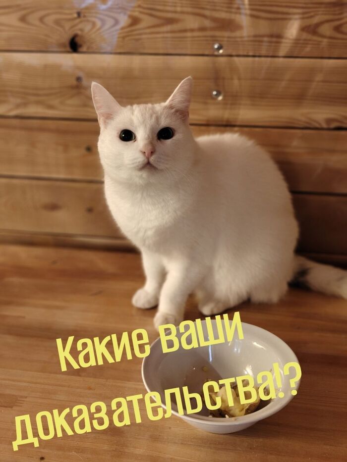 Автор <!--noindex--><a href="https://pikabu.ru/story/novosti_pro_beluyu_kisu_v_beskonechnyim_appetitom_kotoruyu_ya_nashla_u_semishagova_13456915?u=https%3A%2F%2Ft.me%2Firescue%2F83897&t=https%3A%2F%2Ft.me%2Firescue%2F83897&h=09d3aeab374b140ac19fe328731976416303dc87" title="https://t.me/irescue/83897" target="_blank" rel="nofollow noopener">https://t.me/irescue/83897</a><!--/noindex-->