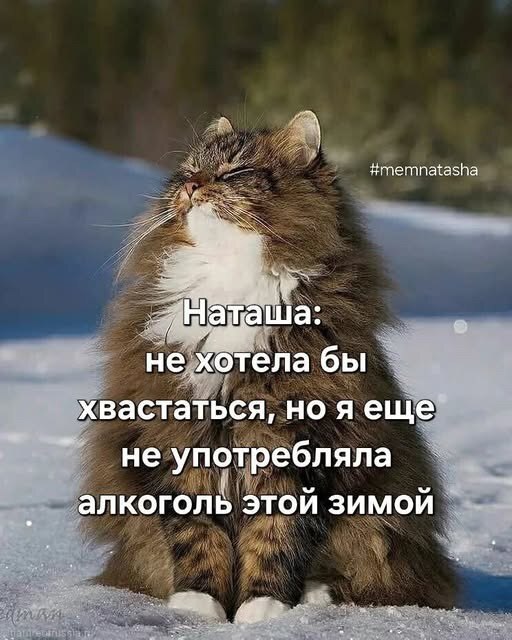 Не употребляла