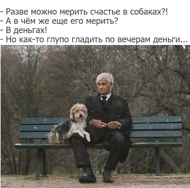 He's probably right... - Humor, Picture with text, Dog, Happiness, Money, Jean-Paul Belmondo