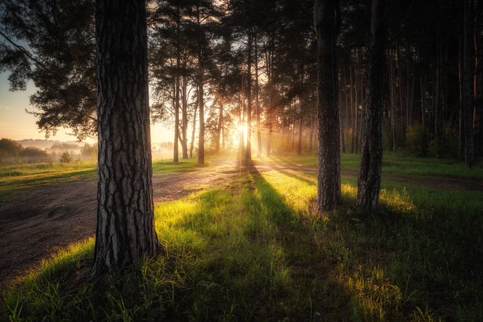 Дорога к свету