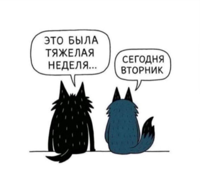 Вторниковое...