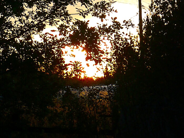 �������� ����������