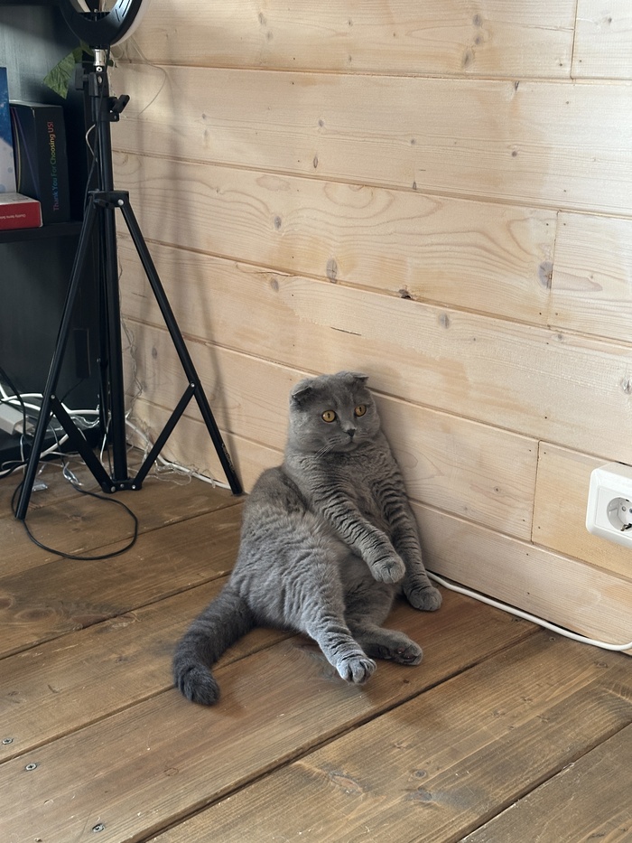            &#x1F495;        &#x1F60D;&#x1F60D;&#x1F60D;