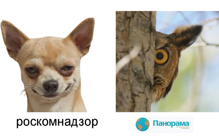 Какая Запретительная организация, такая маленькая и такая запретительная