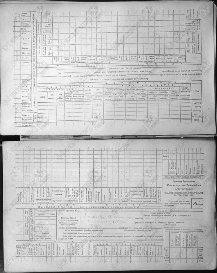 Карточка переписи 1917 года с моей прапрабабушкой