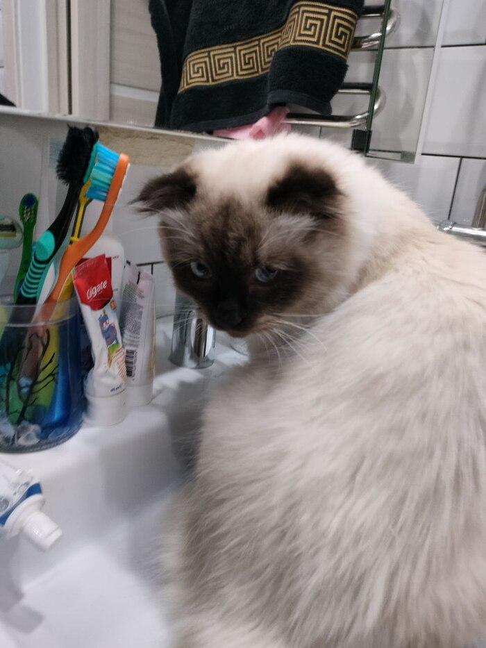 А вы умылись перед сном?