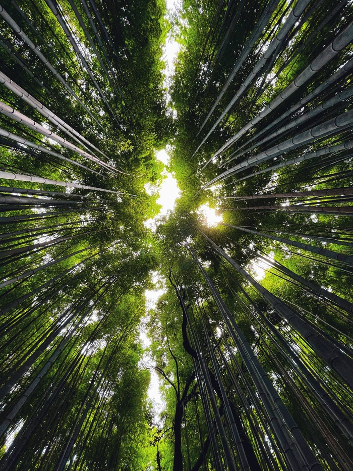 ���������� ���