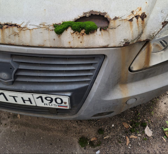 Древность, как она есть... или просто мхом поросло)