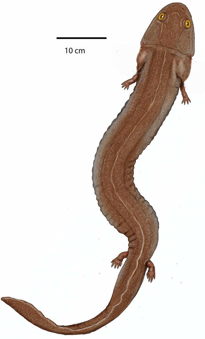 Это исчезнувшая среда, мои чуваки...