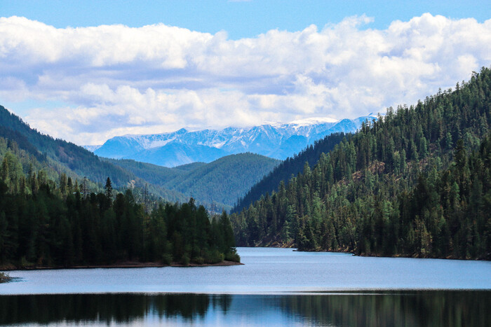 50.398528, 87.604740