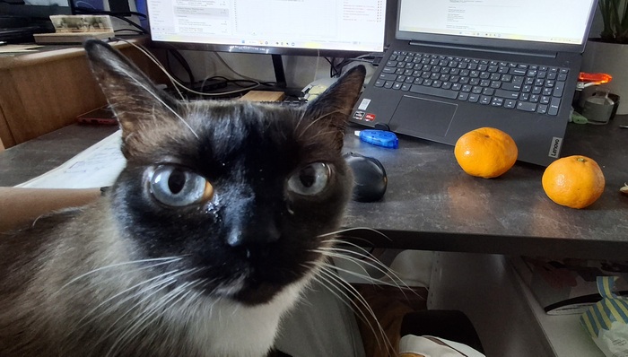 А можно перестать жрать мандарины уже?