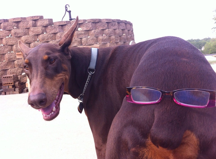      ,   .        .  , ...