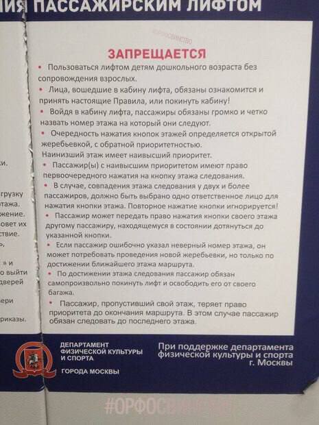 Обитель абсурда или так выглядит безумие