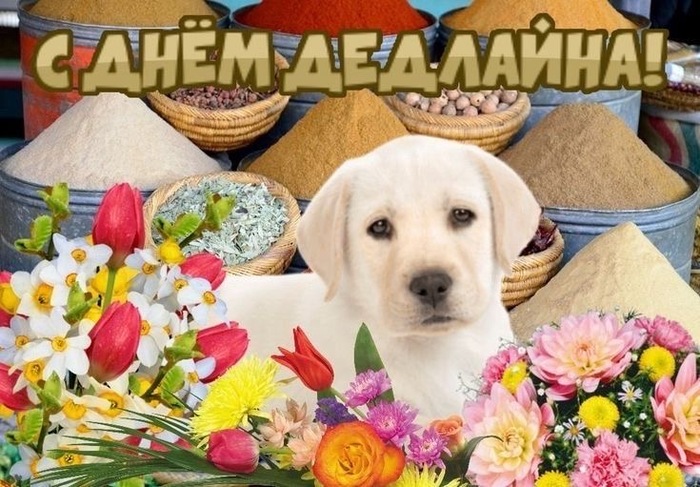 Всем прекрасного рабочего дня!