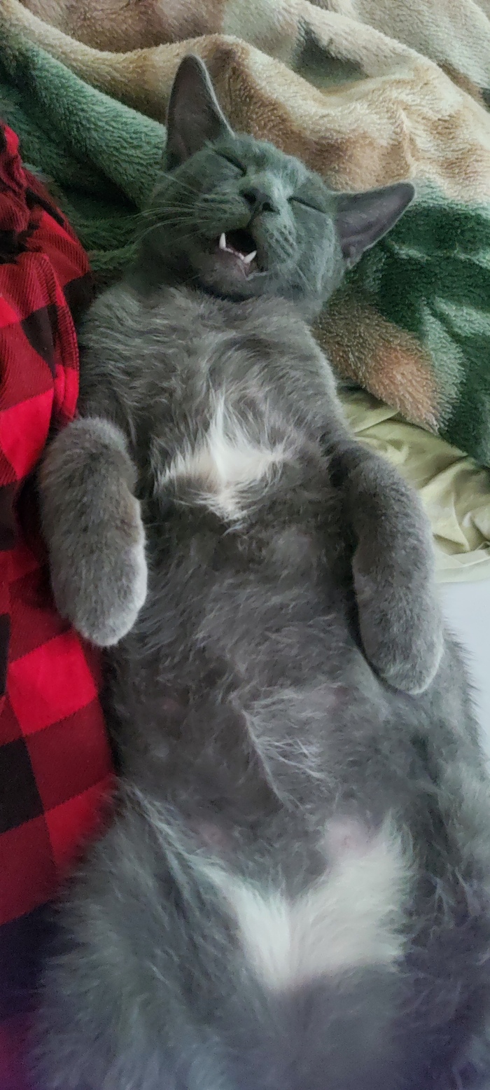 Ответ на пост «Кто все эти люди?!»