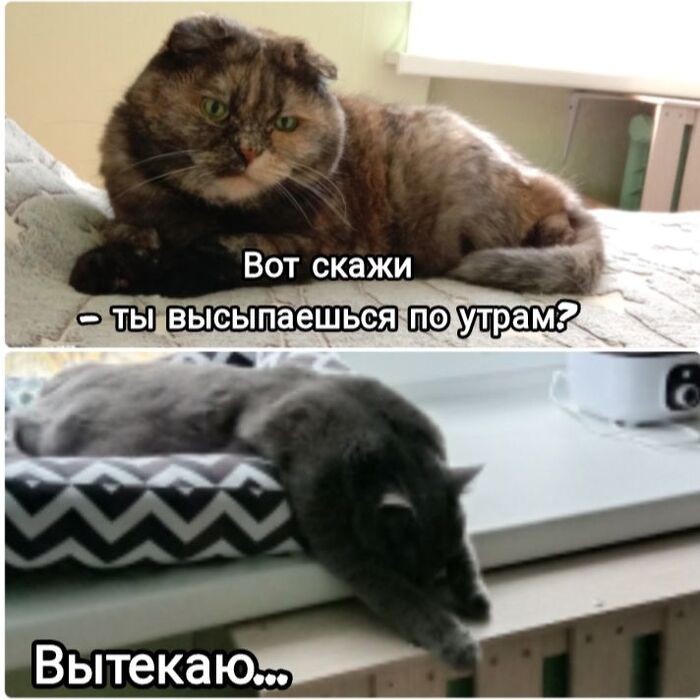 ����� ��� �����