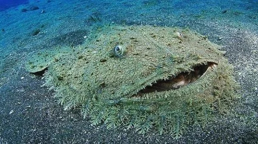 Плющит, плющит, мама, как меня плющит!