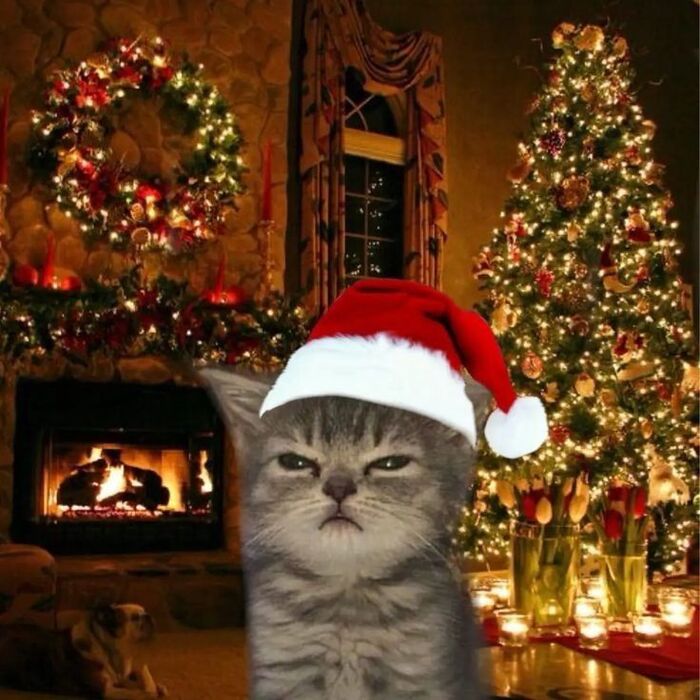 В Новосибирске ОСАГО подорожает минимум в два раза и я сделал подсчет, насколько это ударит по карману людей