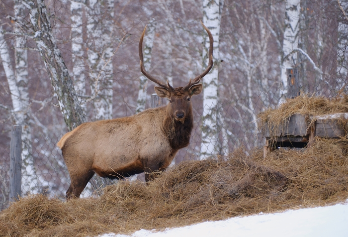Визуальный контакт