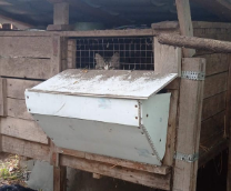 ���-�������� ��������� ������