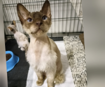 ����� ������. �������������� ��� ���������� � ����