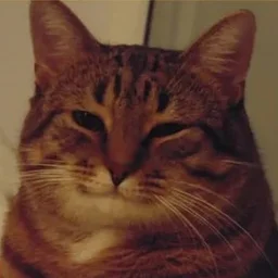 Mehanik62