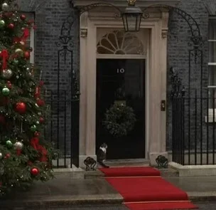 They didn't let the cat in - Politics, England, Short videos, cat, Vladimir Zelensky, Downing Street, Video, Longpost, YouTube (link)