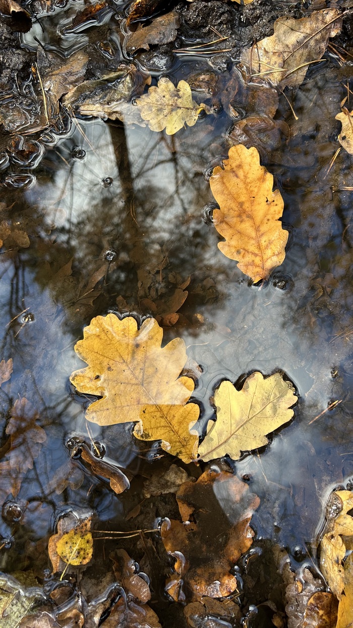 Тоскливый октябрь