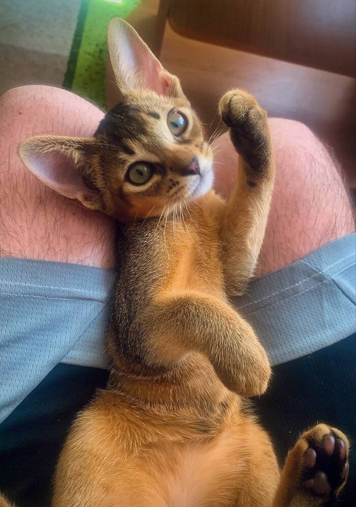   12   15 000  -  2   .   